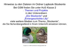 1-Hinweise-Lapbook-Stockente.pdf